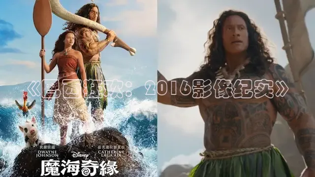 《巴西狂欢：2016影像纪实》