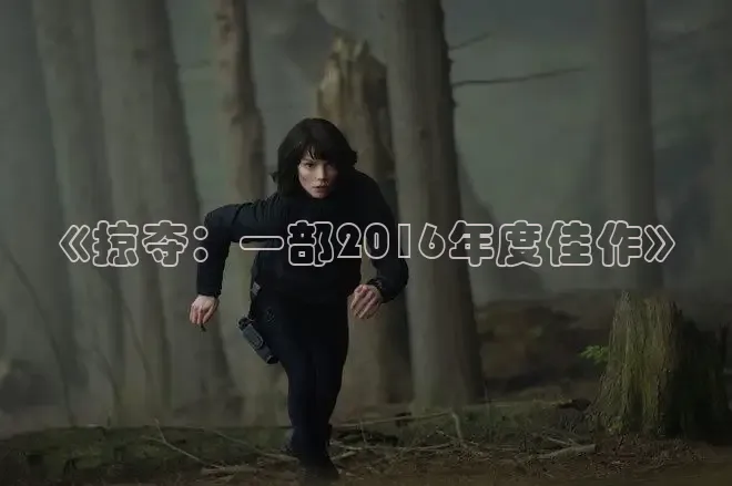 《掠夺：一部2016年度佳作》